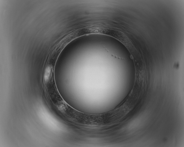 X0000113370095200909221233