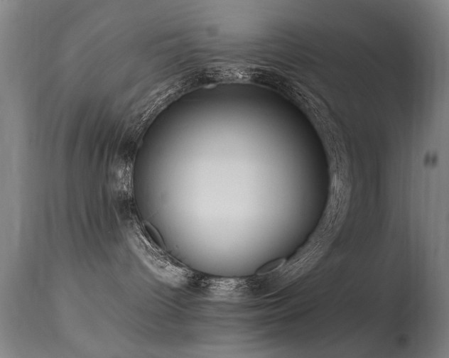 X0000113370096200909221233