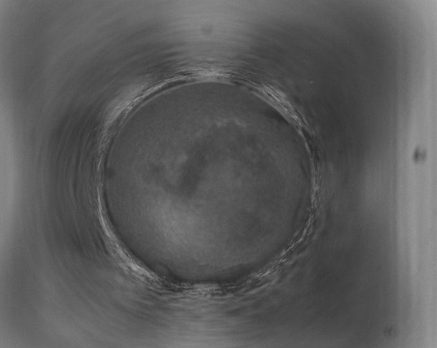 X0000113370097200909221232