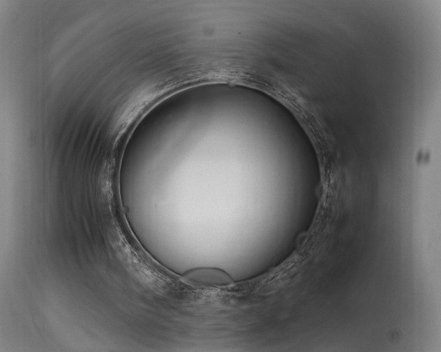 X0000113370098200909221232