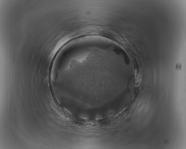X0000113370099200909221232
