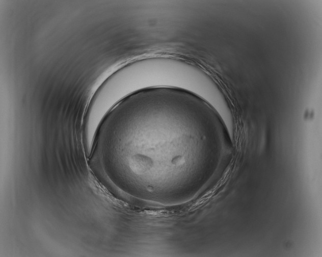 X0000113370100200909221232