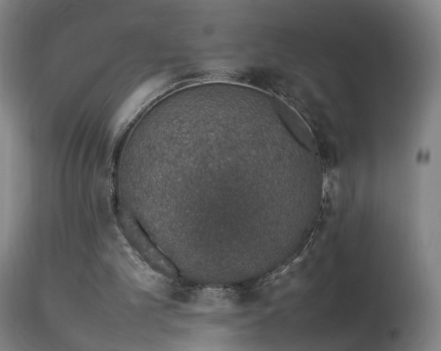 X0000113370101200909221232