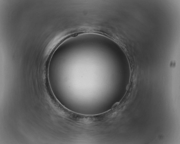 X0000113370103200909221232