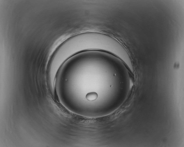 X0000113370104200909221232