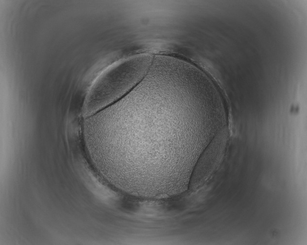 X0000113370105200909221232