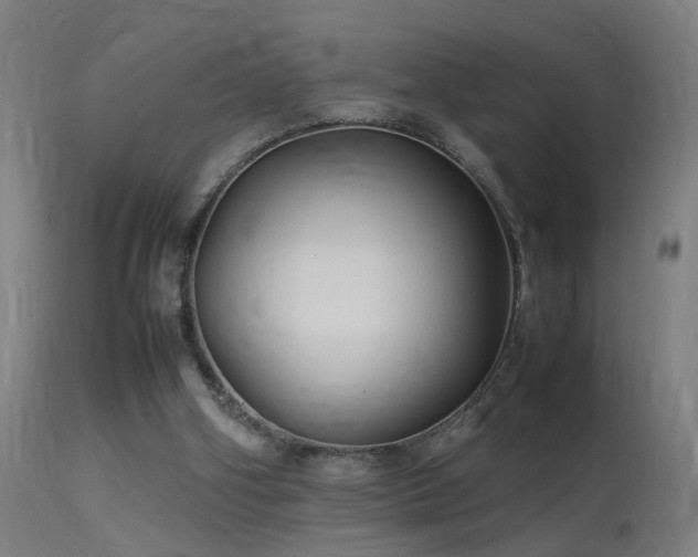 X0000113370106200909221232