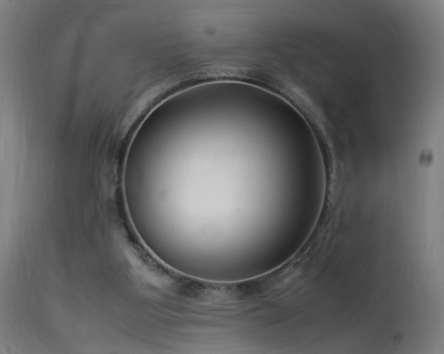 X0000113370107200909221232