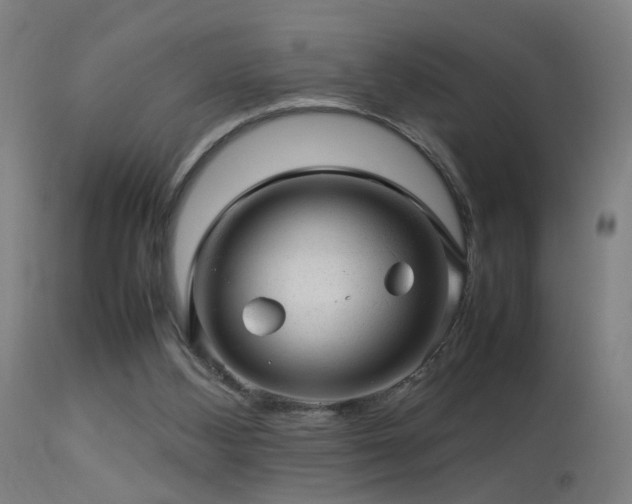 X0000113370108200909221232
