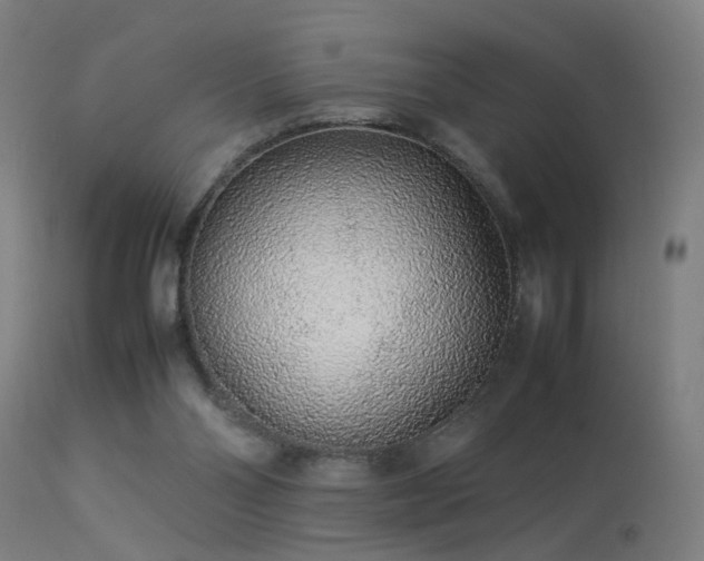 X0000113370110200909221232