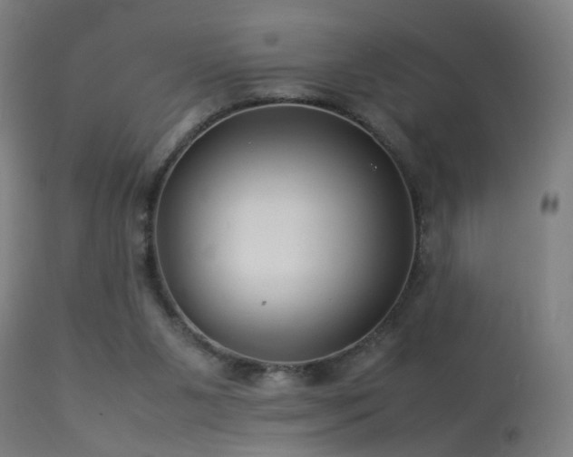 X0000113370111200909221232