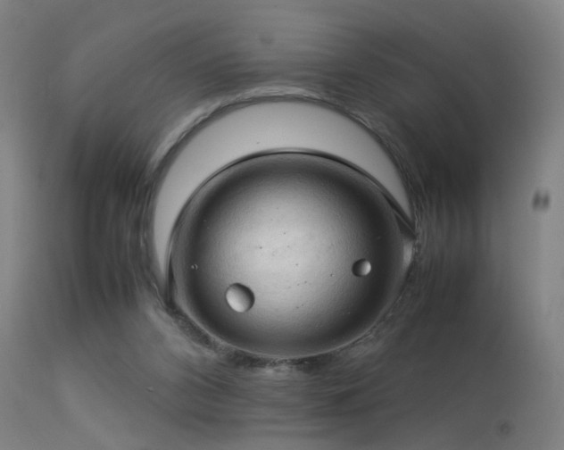 X0000113370112200909221232
