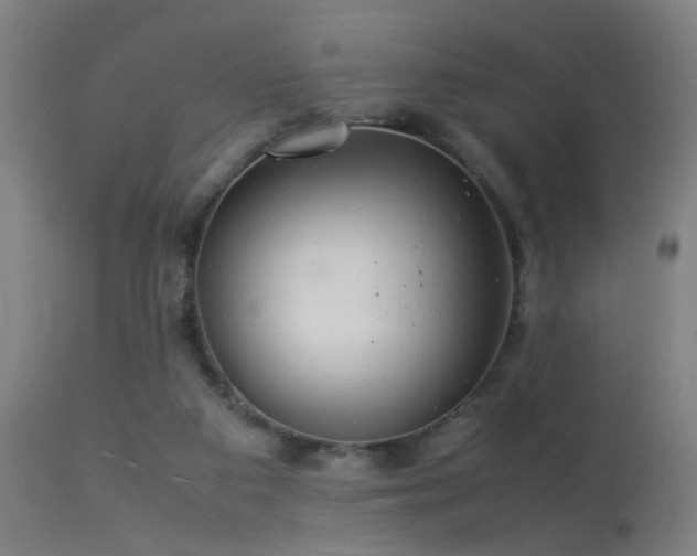X0000113370113200909221232