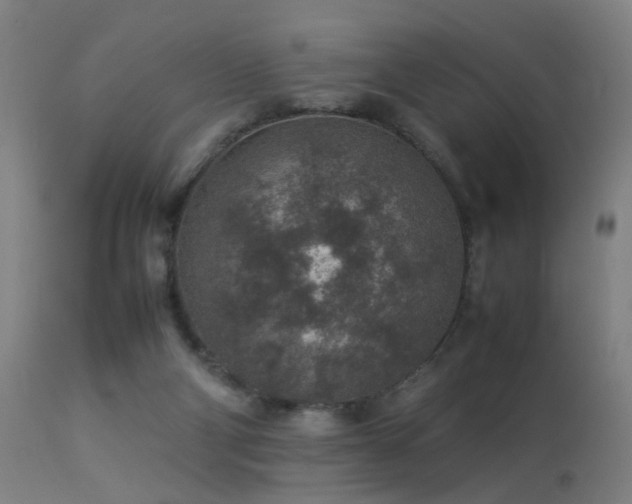 X0000113370114200909221232