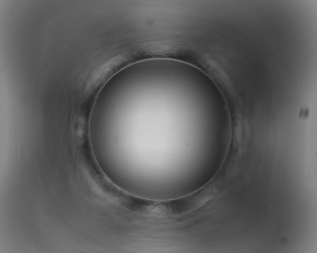 X0000113370115200909221232