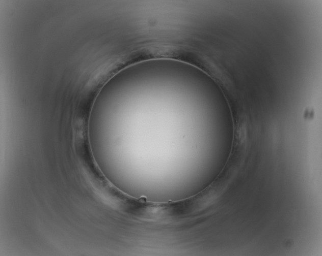X0000113370117200909221232