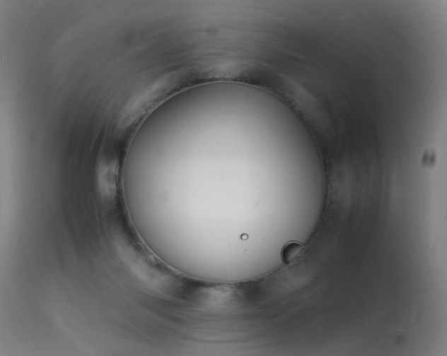 X0000113370118200909221232