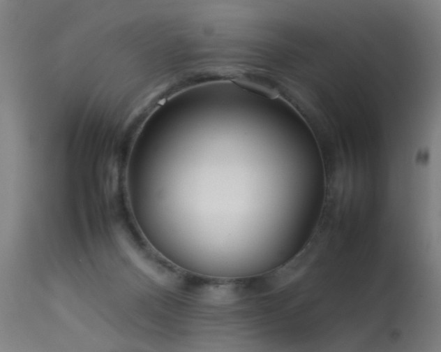 X0000113370120200909221232