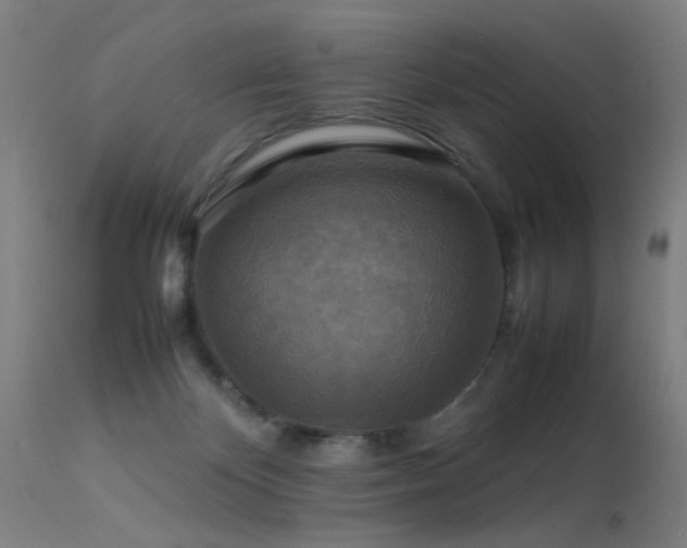 X0000113370124200909221232