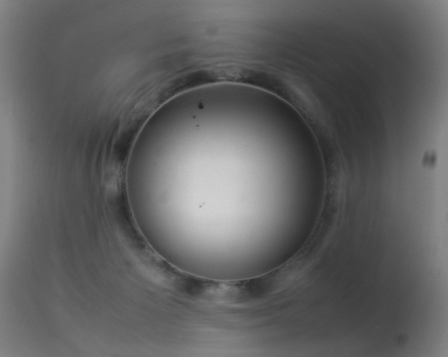 X0000113370125200909221232