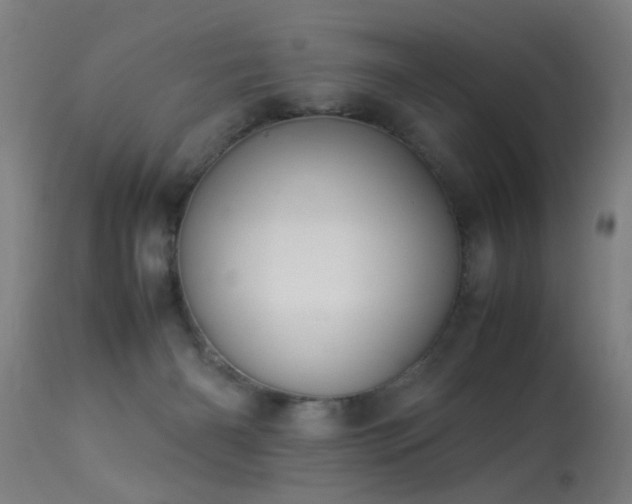 X0000113370126200909221232