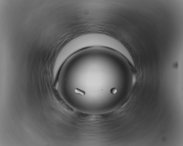 X0000113370128200909221232