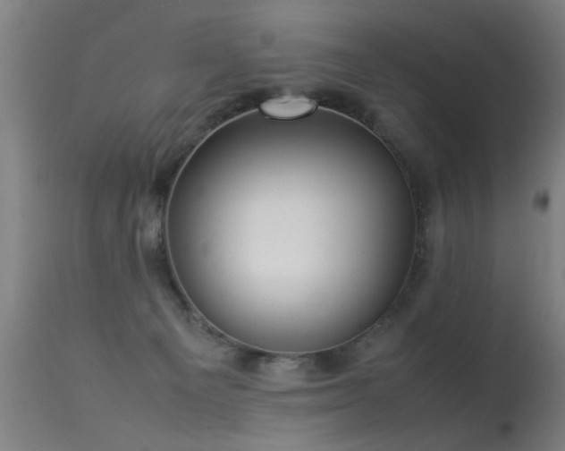 X0000113370129200909221232