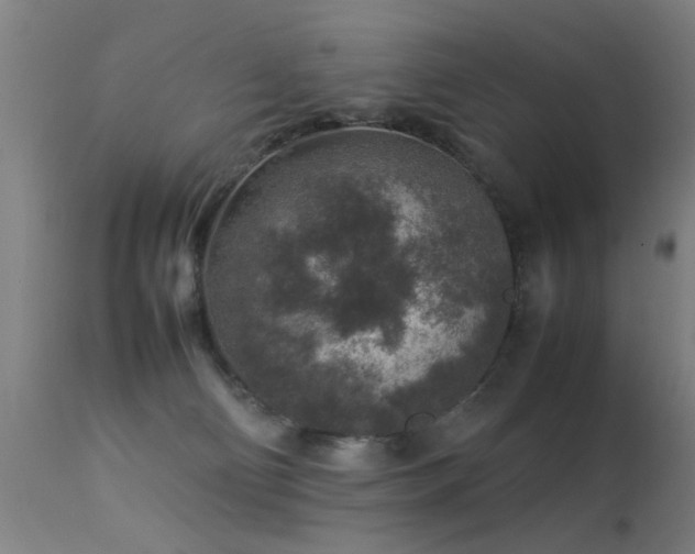 X0000113370130200909221232