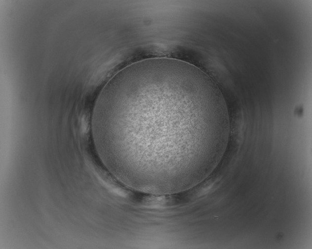 X0000113370131200909221232