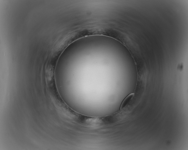X0000113370133200909221232