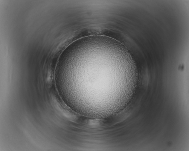 X0000113370134200909221232