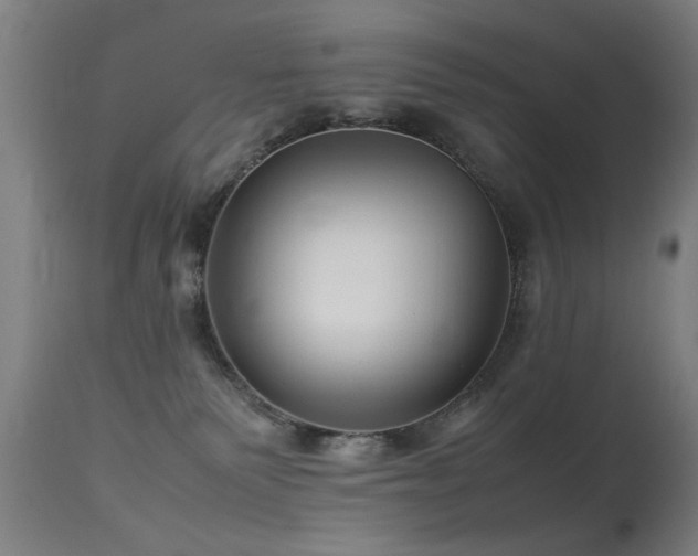 X0000113370135200909221232