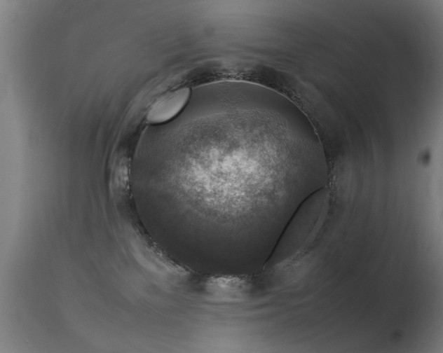 X0000113370137200909221232