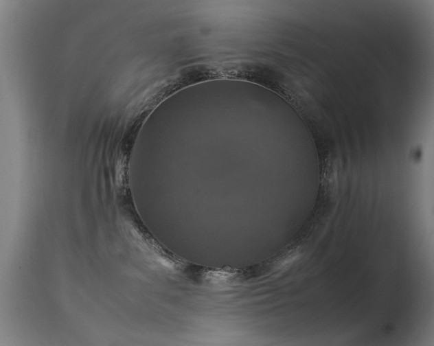X0000113370139200909221232