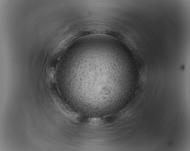 X0000113370141200909221232