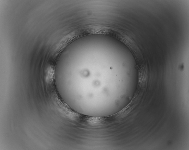 X0000113370142200909221232