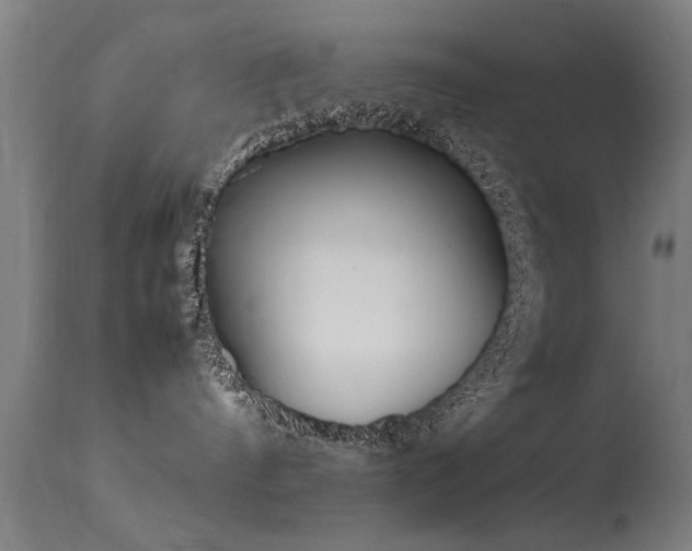 X0000113370144200909221232