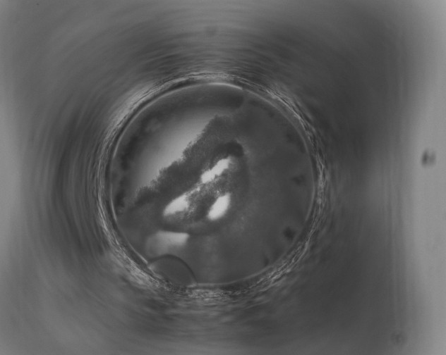 X0000113370145200909221231