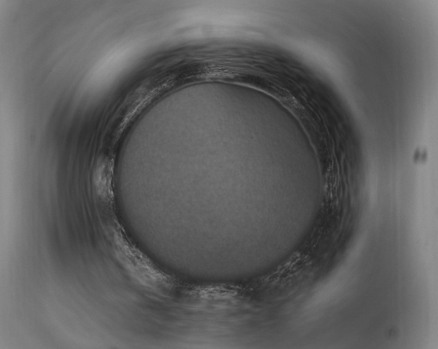 X0000113370146200909221231