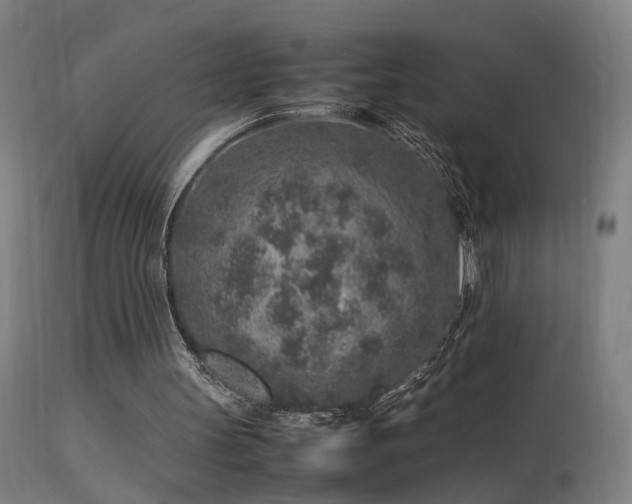 X0000113370147200909221231
