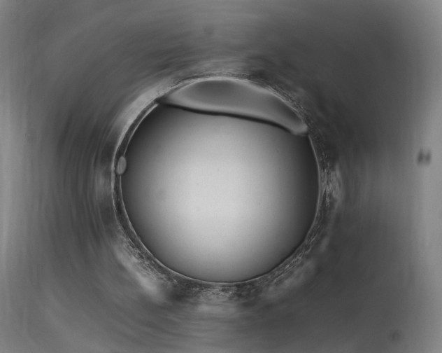 X0000113370148200909221231