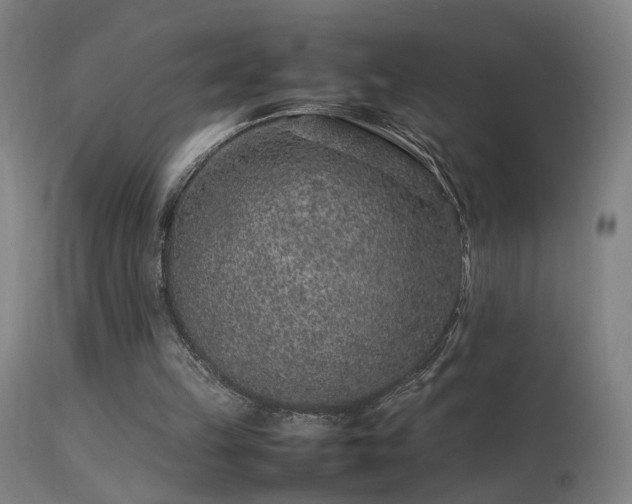 X0000113370149200909221231
