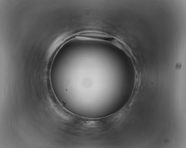 X0000113370151200909221231