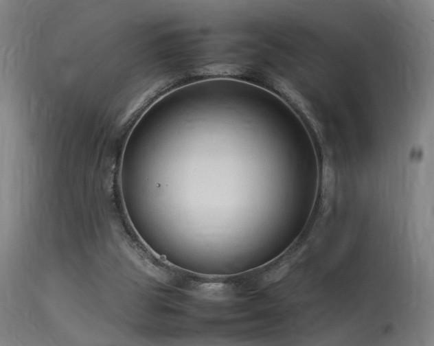 X0000113370153200909221231