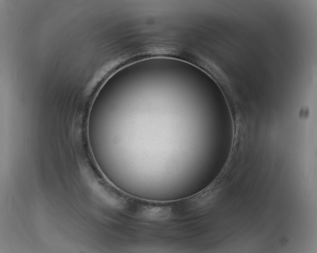 X0000113370155200909221231