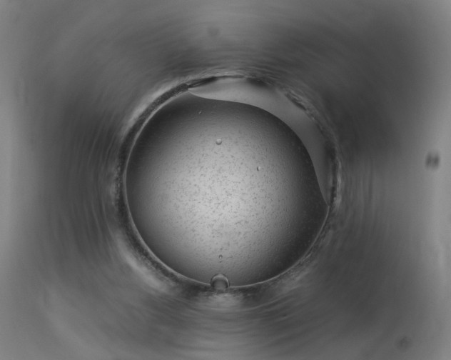 X0000113370156200909221231