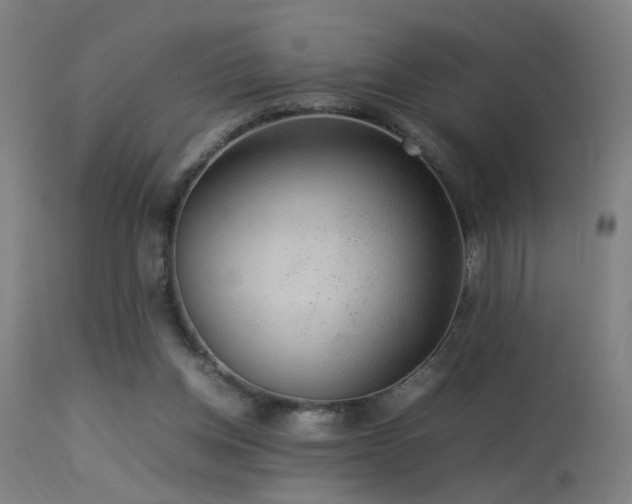 X0000113370158200909221231