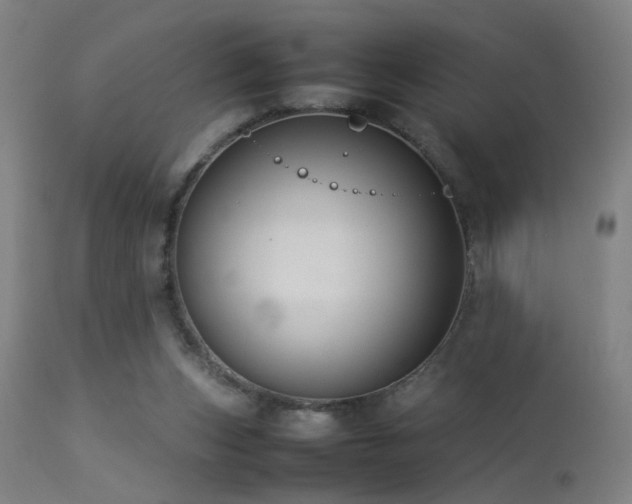 X0000113370159200909221231