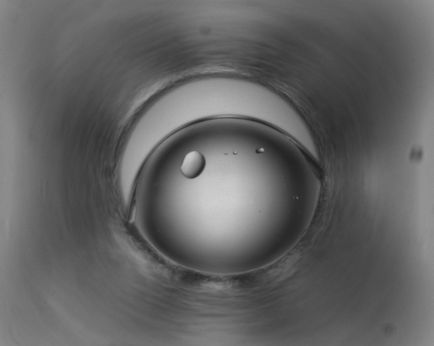X0000113370160200909221231