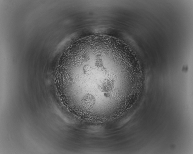X0000113370161200909221231